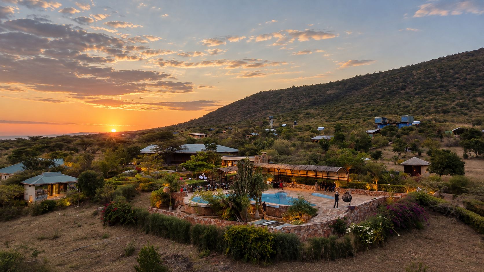 Sausage Tree on its hillside at sunset