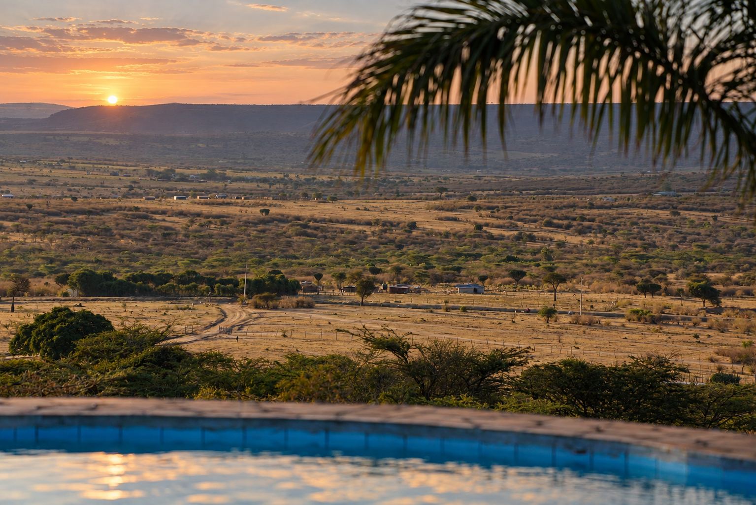 Savanna view from the poolside at sunset