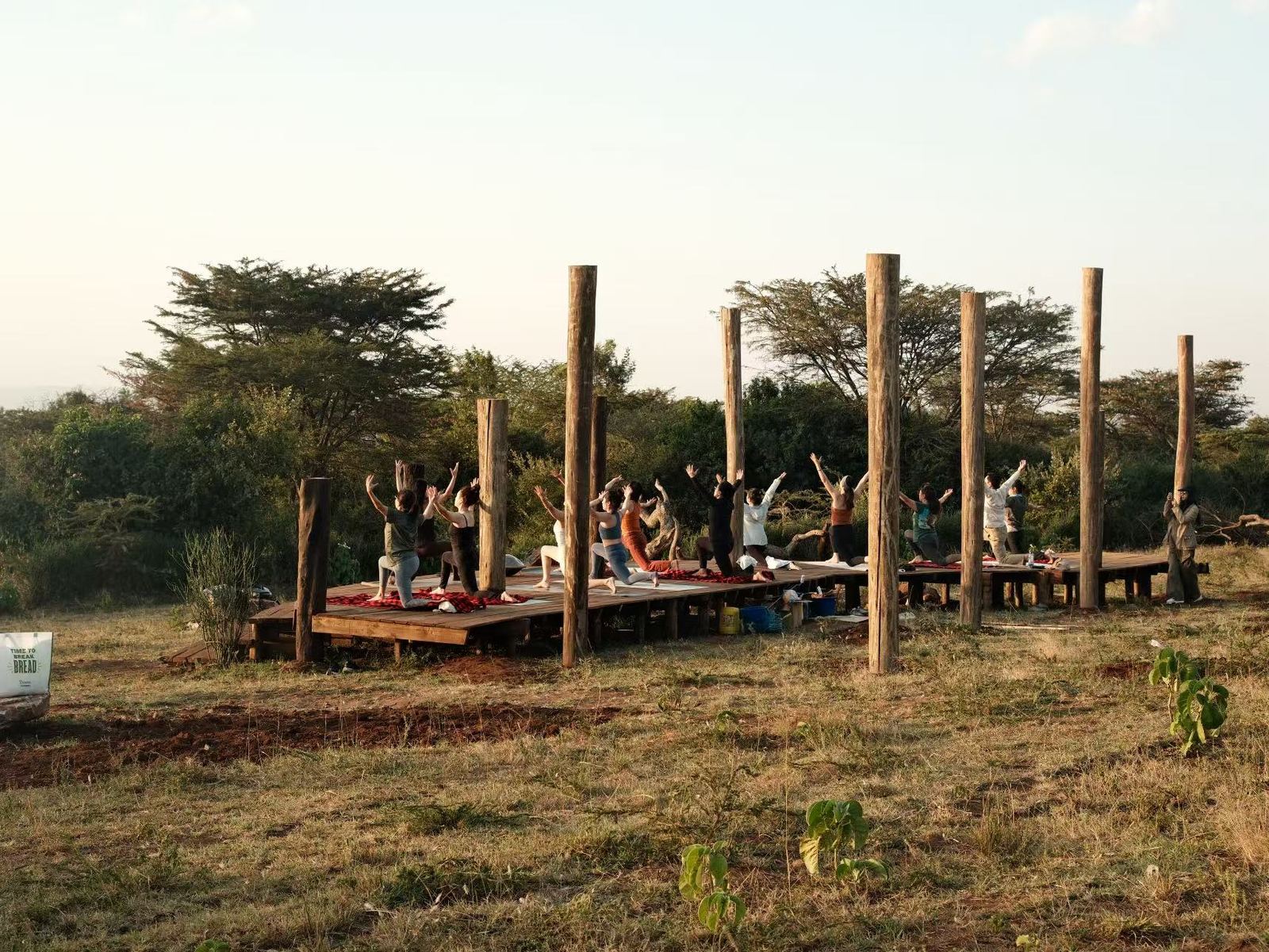 Guests doing yoga on an open wooden deck among the trees in the late-afternoon light
